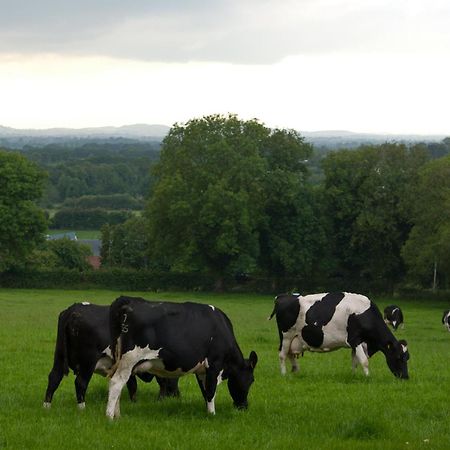 Ballindrum Farm B&B Athy Exterior photo