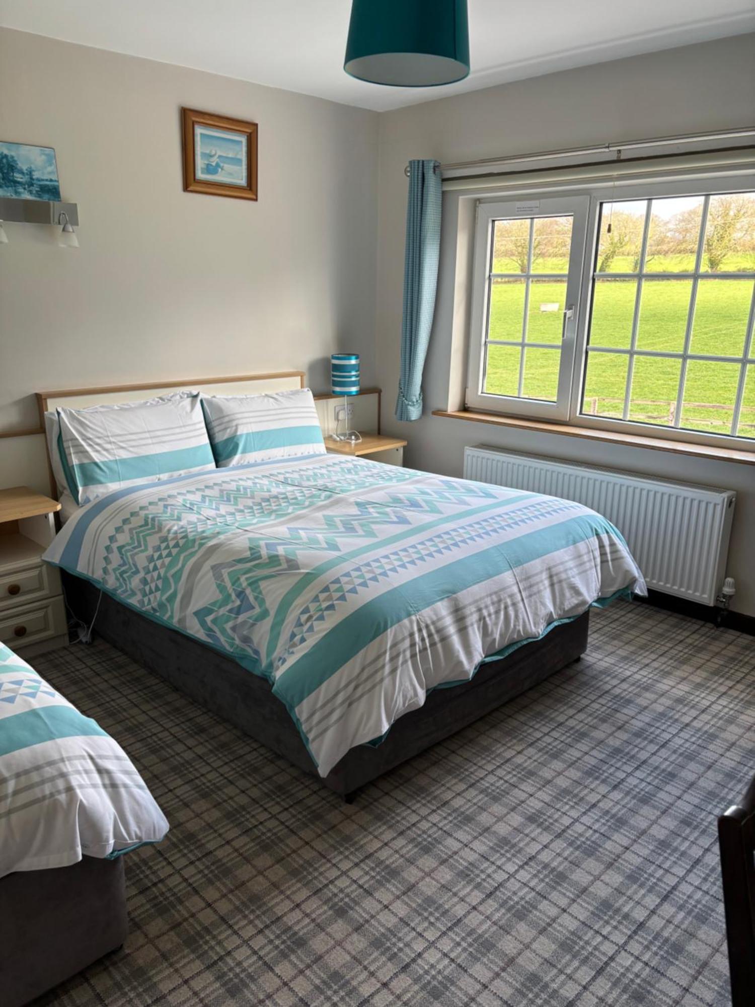 Ballindrum Farm B&B Athy Exterior photo