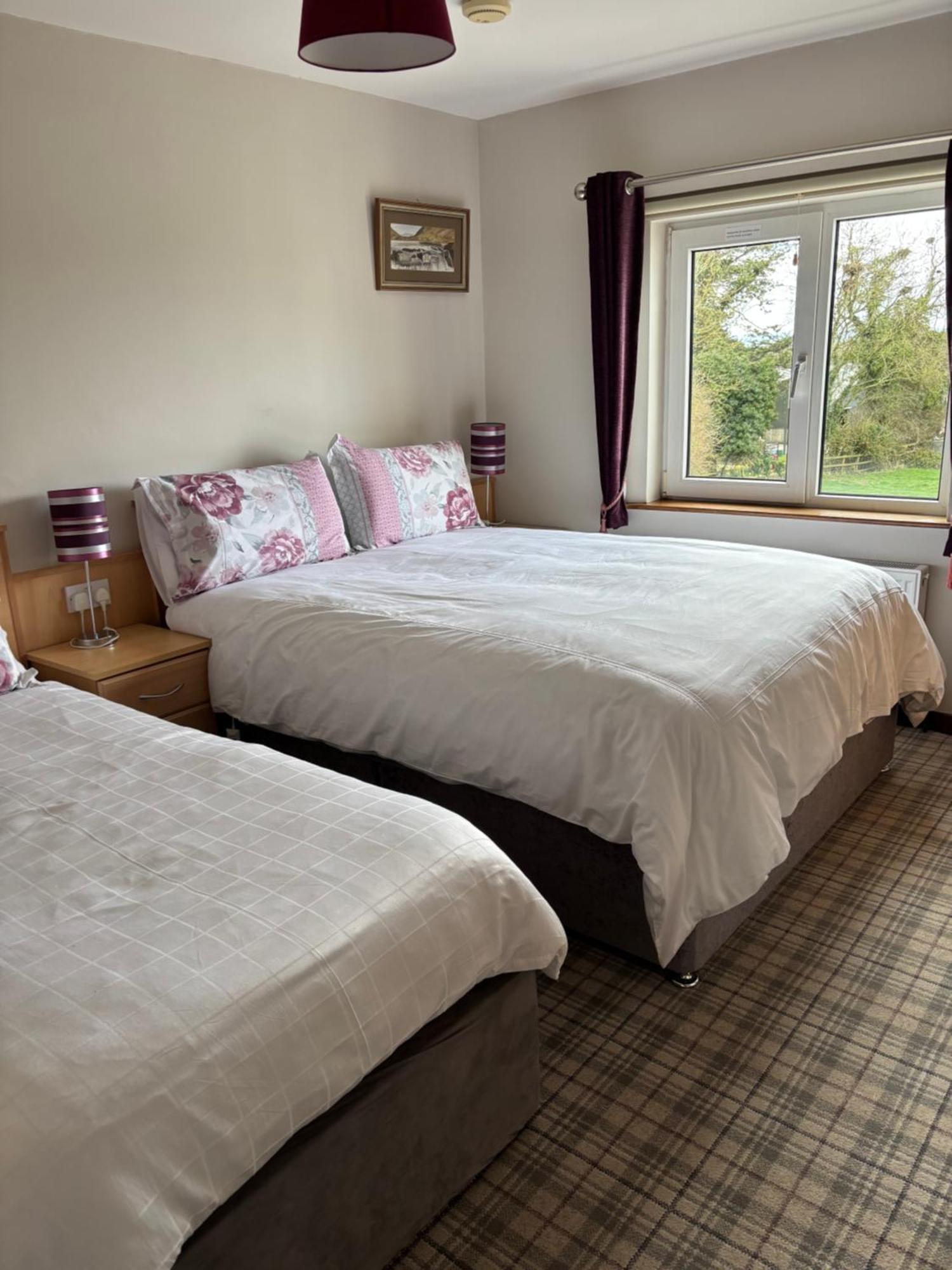 Ballindrum Farm B&B Athy Exterior photo