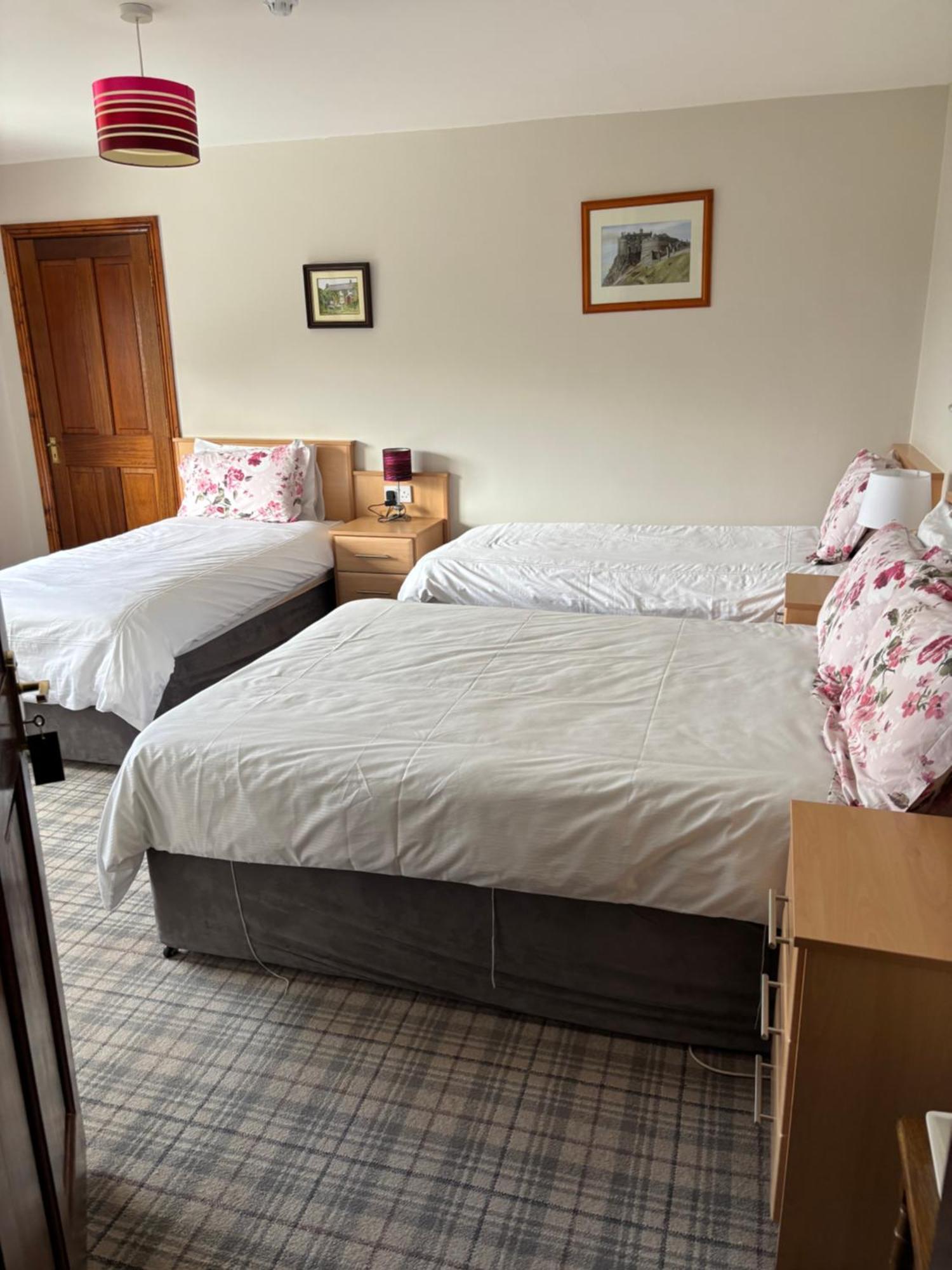Ballindrum Farm B&B Athy Exterior photo