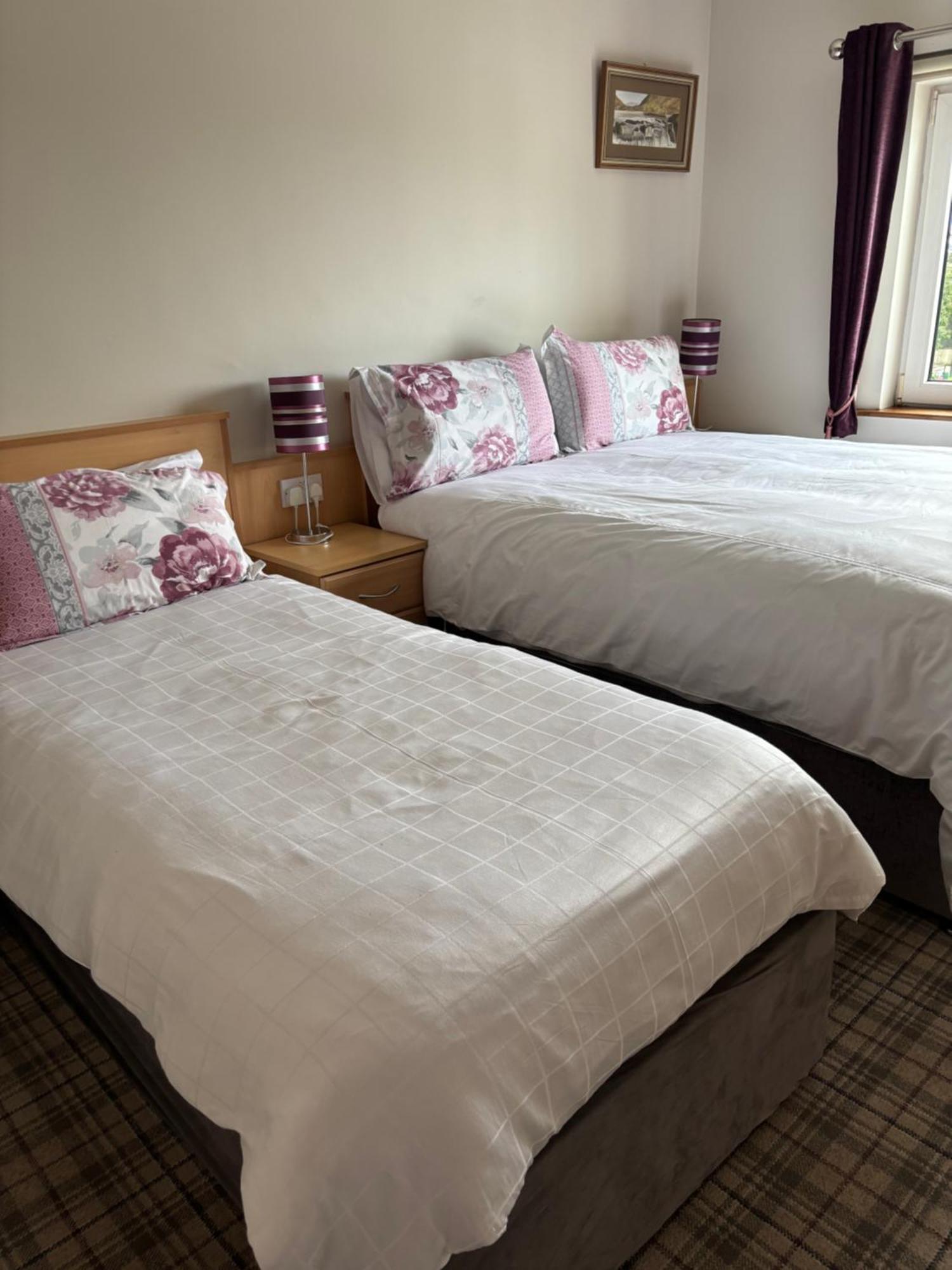 Ballindrum Farm B&B Athy Exterior photo