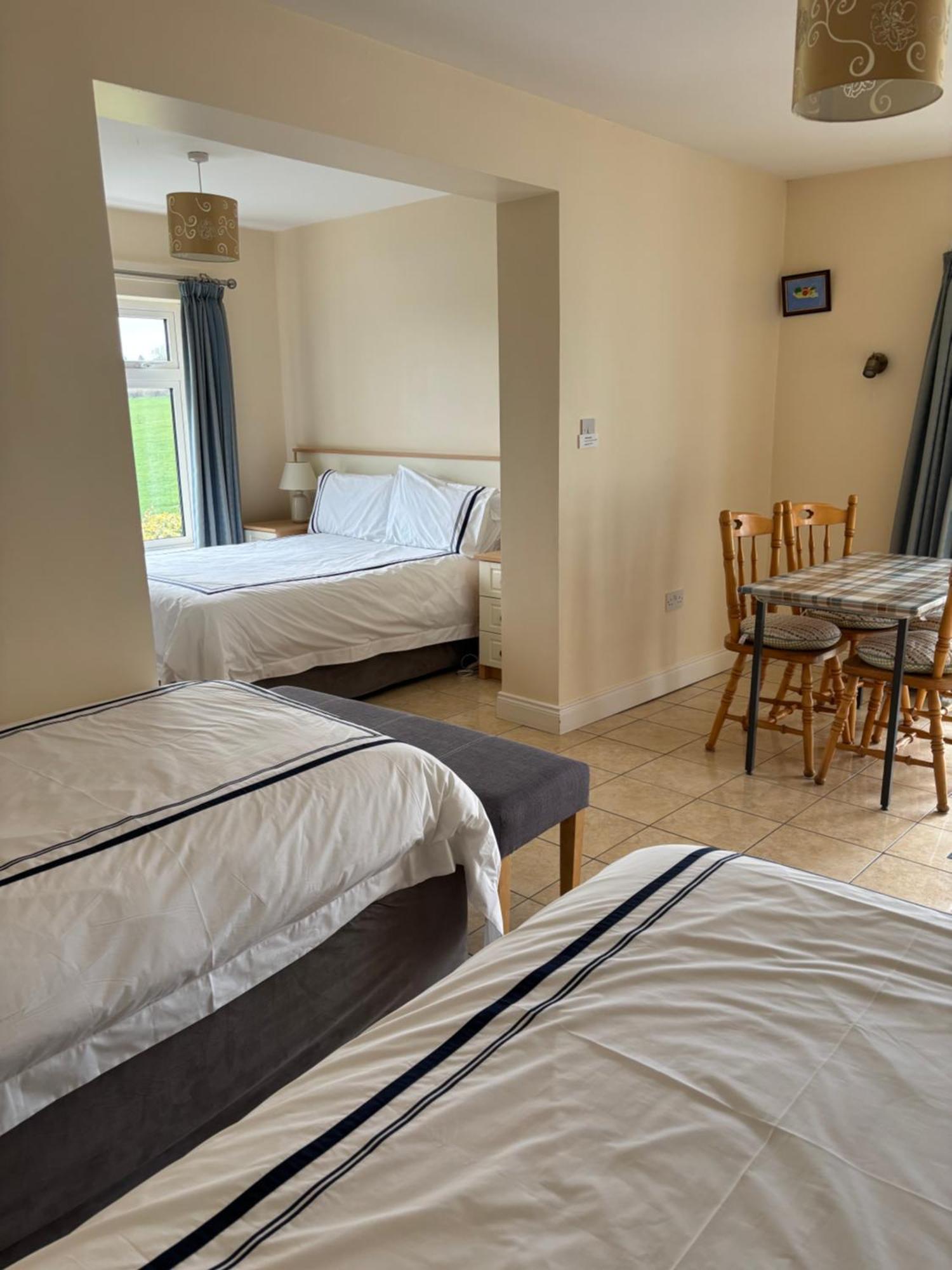 Ballindrum Farm B&B Athy Exterior photo