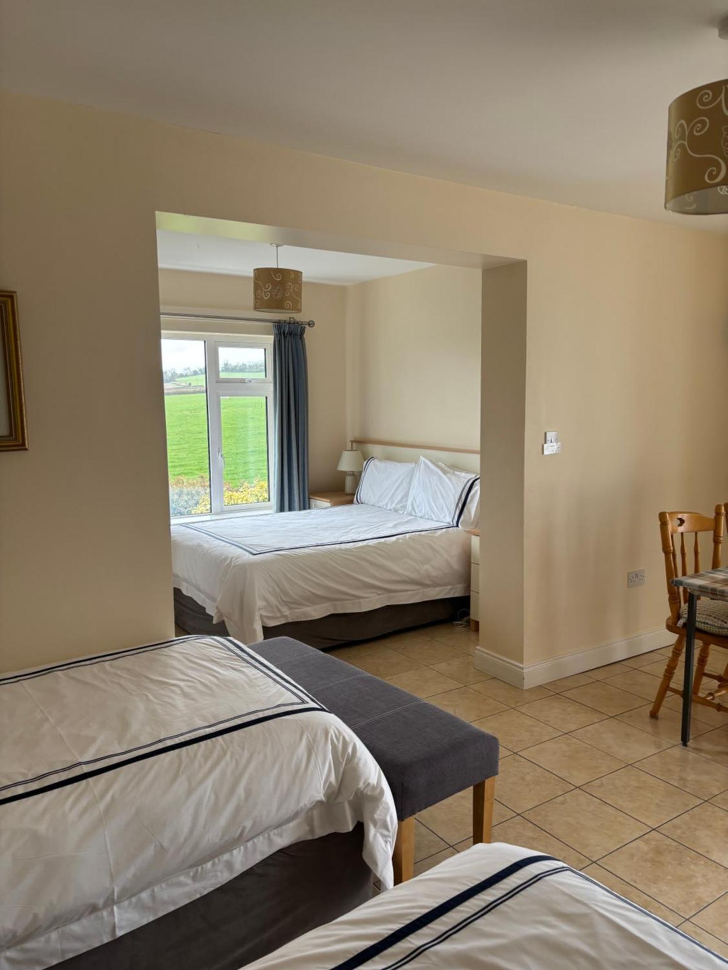 Ballindrum Farm B&B Athy Exterior photo